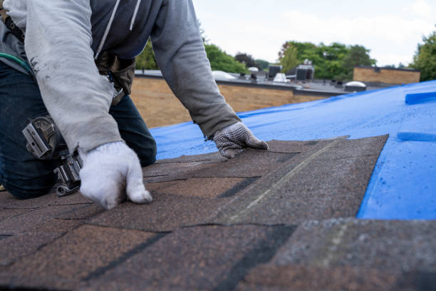 Best Local Roofing Companies  in Ferndale, PA