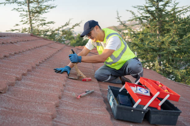 Best Best Roofing Contractors  in Ferndale, PA