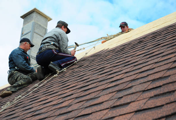 Best Roof Gutter Cleaning  in Ferndale, PA